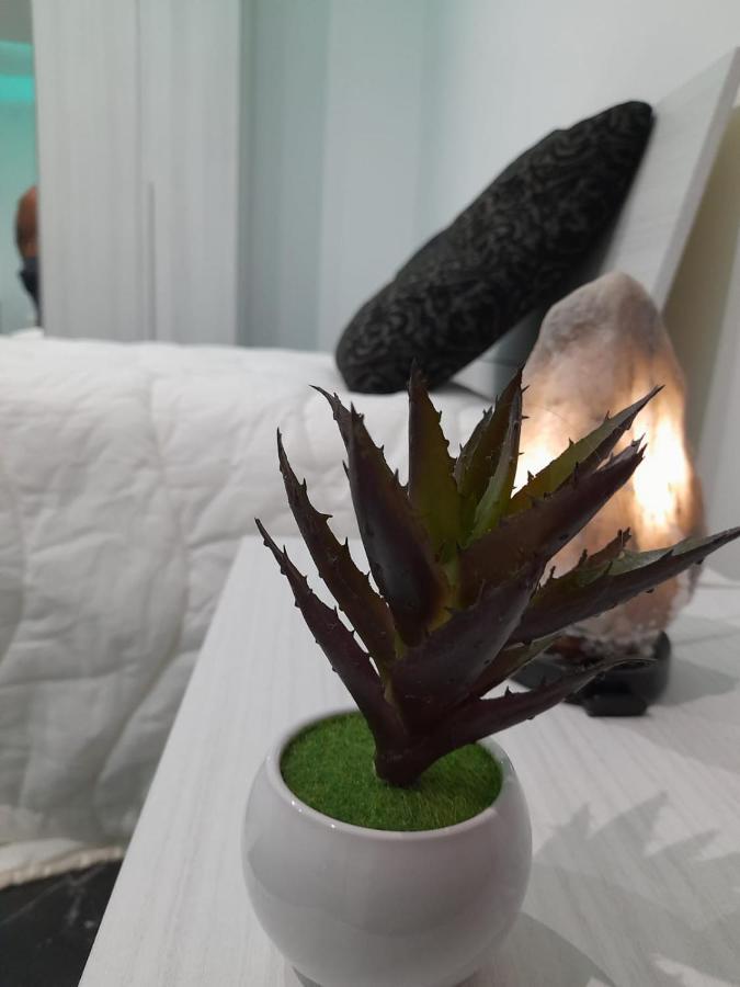 タラント Casa Birmanoヴィラ エクステリア 写真
